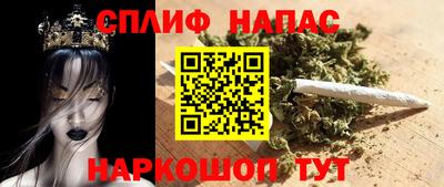 гашик Можга