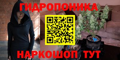 ПСИЛОЦИБИНОВЫЕ ГРИБЫ Мариинск